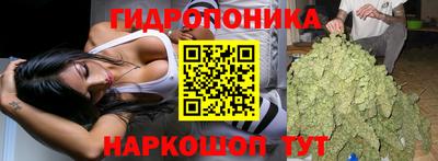 мяу мяу мука Азнакаево