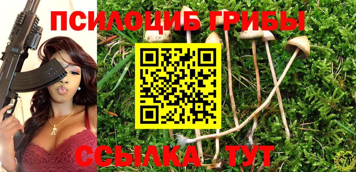 Галлюциногенные грибы мицелий Анапа