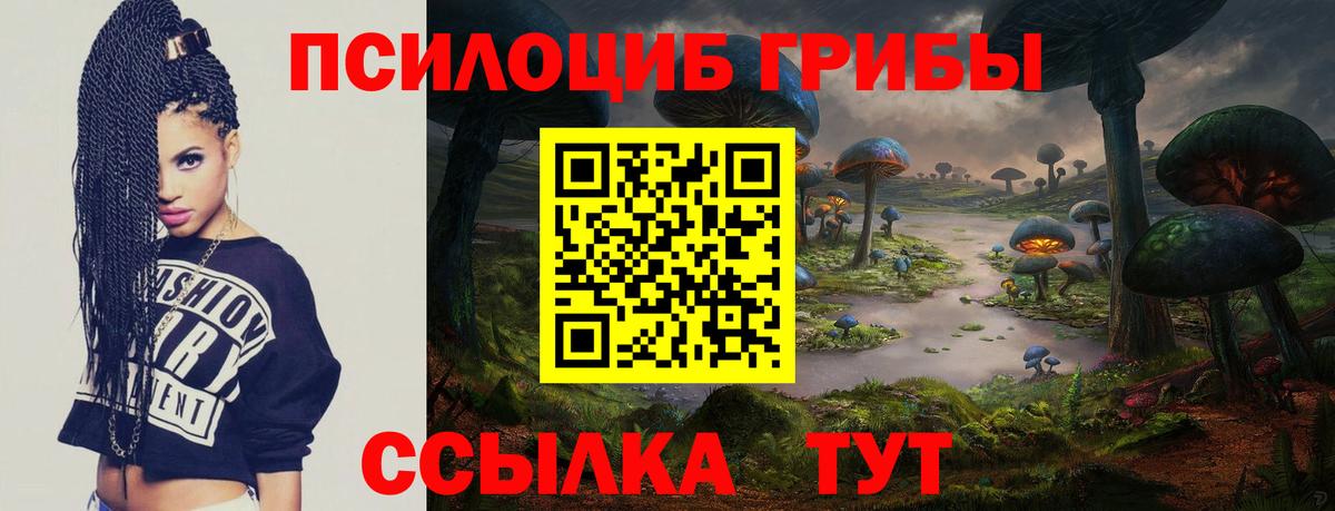 Анапа  Псилоцибиновые грибы GOLDEN TEACHER  Вход с VPN 